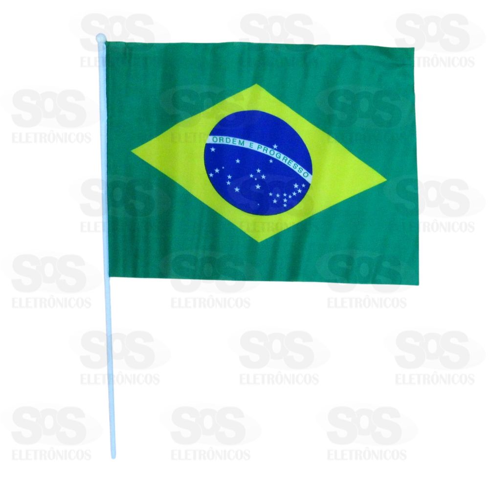 Bandeira Do Brasil Para Carro Mdia 20x30 cm